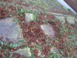 image of grave number 282097